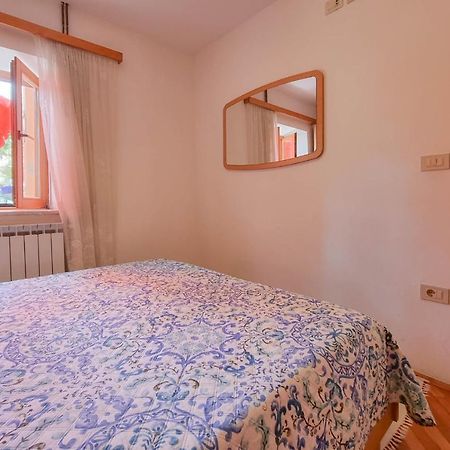 Apartament Valentino Novigrad  Zewnętrze zdjęcie