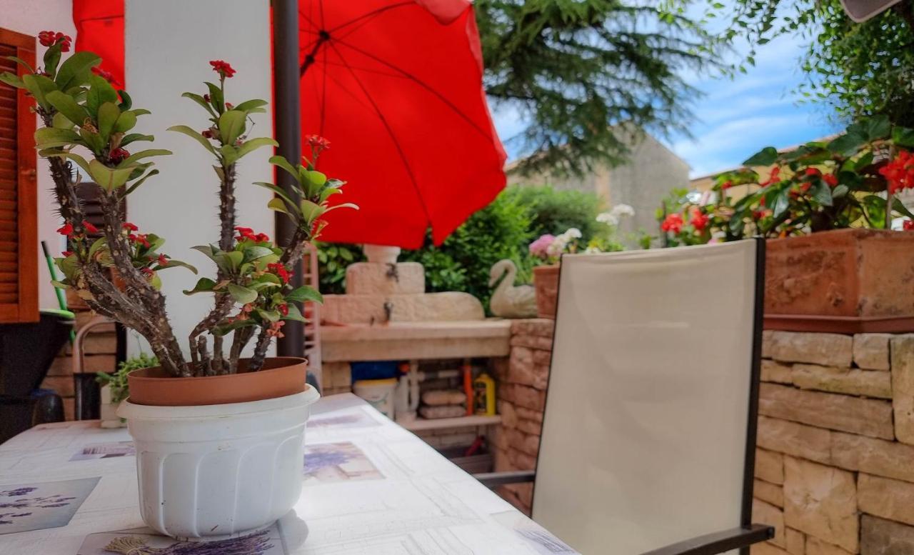 Apartament Valentino Novigrad  Zewnętrze zdjęcie