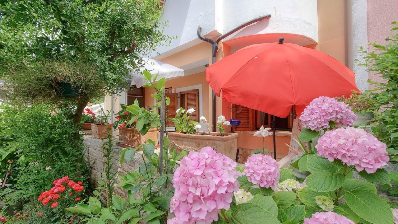 Apartament Valentino Novigrad  Zewnętrze zdjęcie